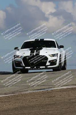 media/Mar-31-2024-Speed Ventures (Sun) [[a3b2bf813d]]/Purple/Session 2 (Grapevine)/